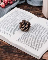 出版小说渠道 出版小说流程？