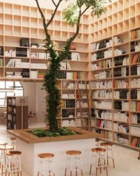 一本书的诞生要花多少钱？个人自费出书费用全揭秘（附避坑指南）