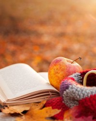 书架乱成垃圾堆？这几招让它秒变私人图书馆